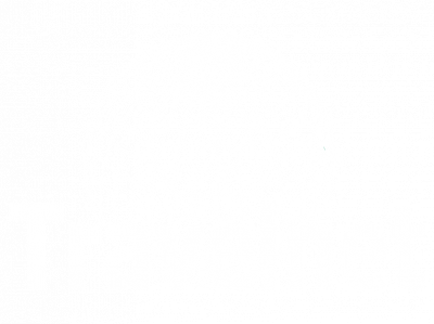 logo travelnet